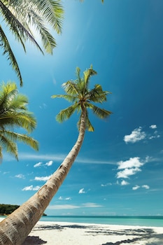 m signature boutique hotel and villas beachfront phu quoc