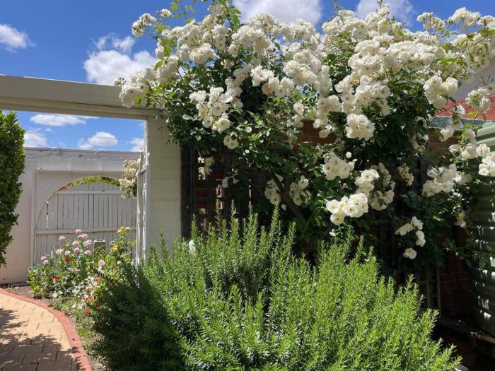 the merredin treasury