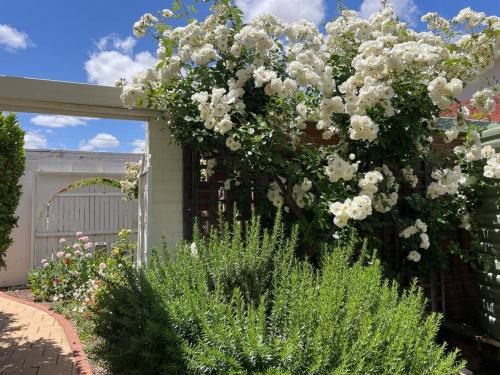 the merredin treasury