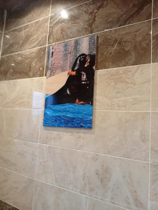 residence prestige kgv appt 302