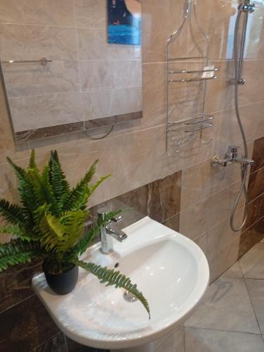 residence prestige kgv appt 302