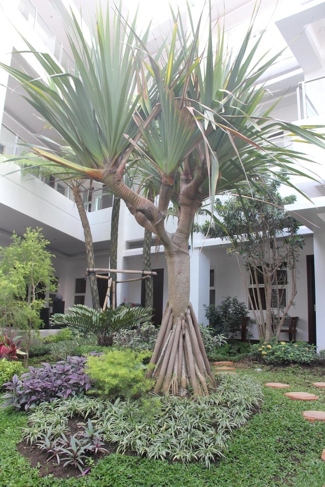 tlogomas guest house