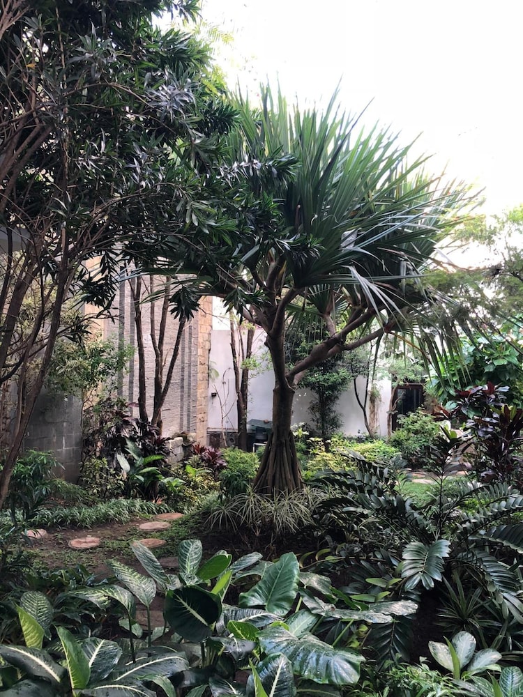 tlogomas guest house