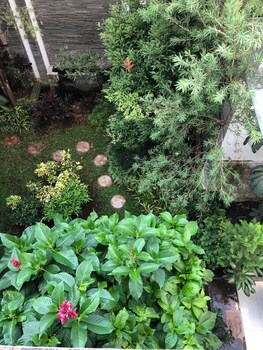 tlogomas guest house