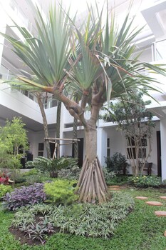 tlogomas guest house