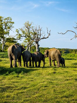 pahana village sigiriya