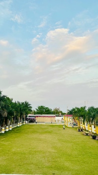 kanha green