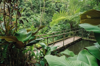 udaka retreat