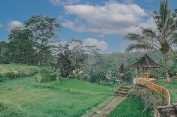 the fire flies garden villa
