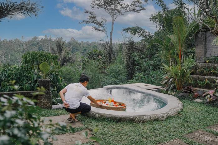 the fire flies garden villa