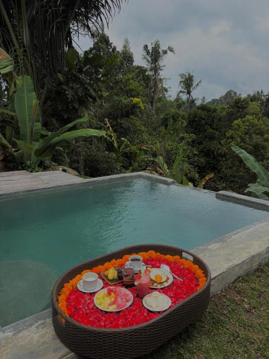 the fire flies garden villa