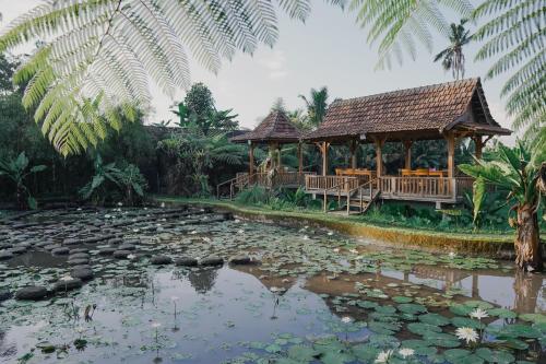 the fire flies garden villa