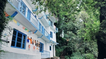 tree house bhagsu