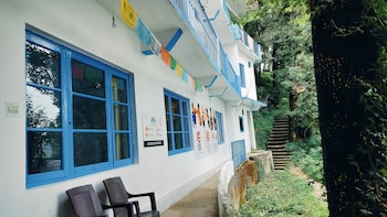 tree house bhagsu
