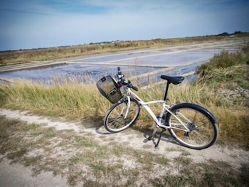 la balade des marais