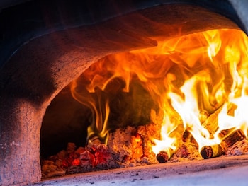 la balade des marais