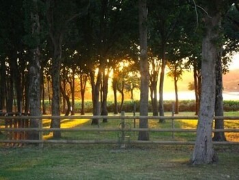 la balade des marais