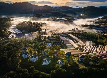 tea resort dalat