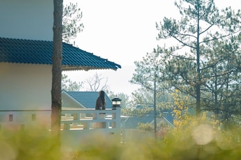 tea resort dalat