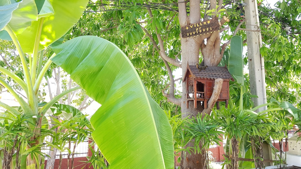 pattaya