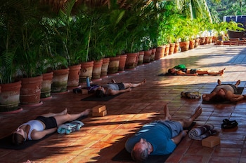casa loteria sayulita family boutique hotel with restaurant rooftop yoga pool and free parking 3 min to beach