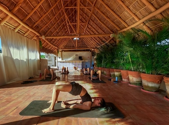 casa loteria sayulita family boutique hotel with restaurant rooftop yoga pool and free parking 3 min to beach