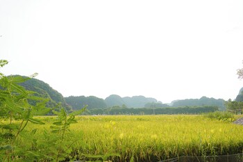 heritage soul bungalow tam coc