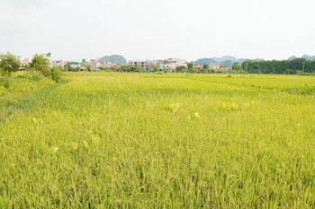 heritage soul bungalow tam coc