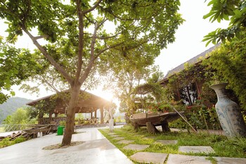 hoa lu
