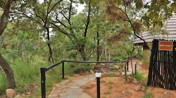 bushtime at mabula