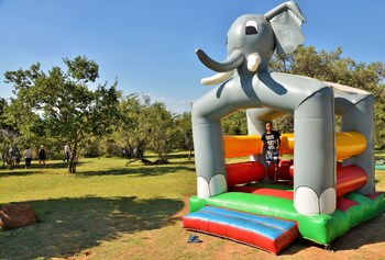 bushtime at mabula