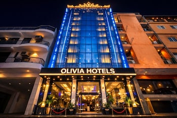 olivia hotels delhi airport