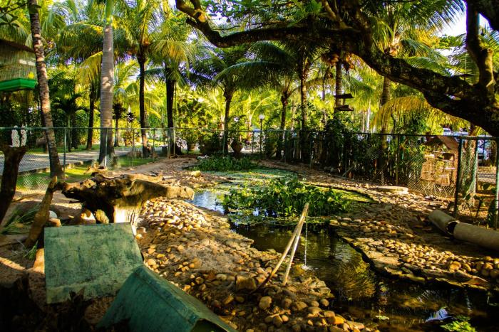 catussaba resort hotel