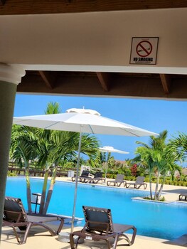 oasis at the palms