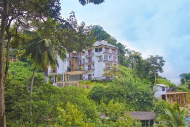 serene grand villa
