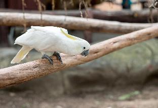 kingsleys hotel and gastro pub