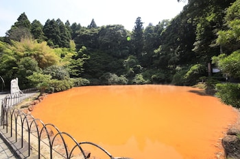 beppu dog resort hills and bay