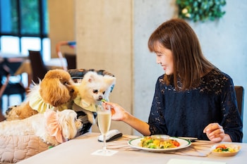 beppu dog resort hills and bay