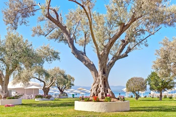 palmariva beach hotel by anayia all inclusive resorts
