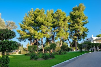 palmariva beach hotel by anayia all inclusive resorts