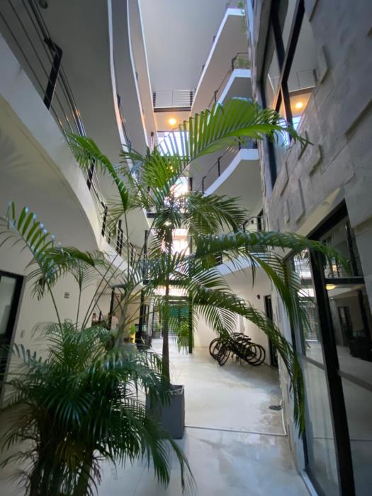 sole suites playa del carmen