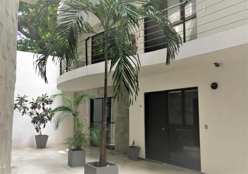 sole suites playa del carmen