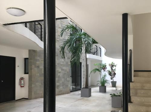 sole suites playa del carmen