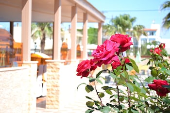 hotel palladion by anayia all inclusive resorts