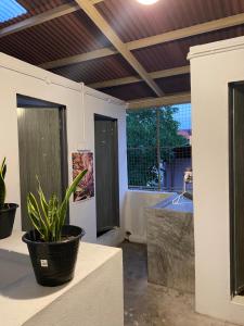 rope walk guesthouse hostel