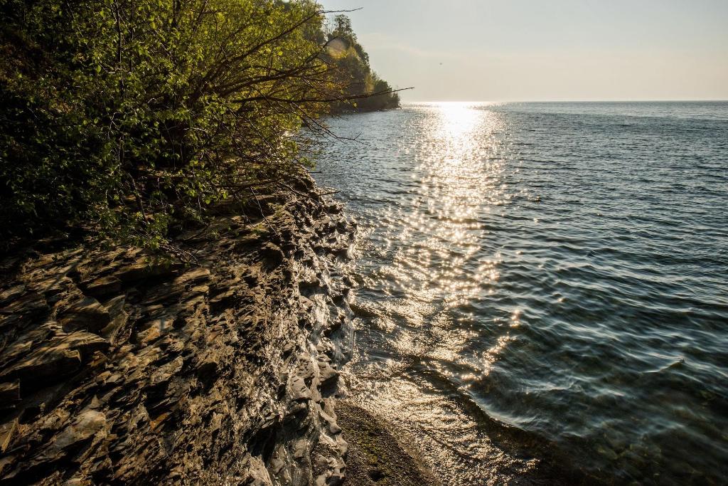 lakeview on the lake
