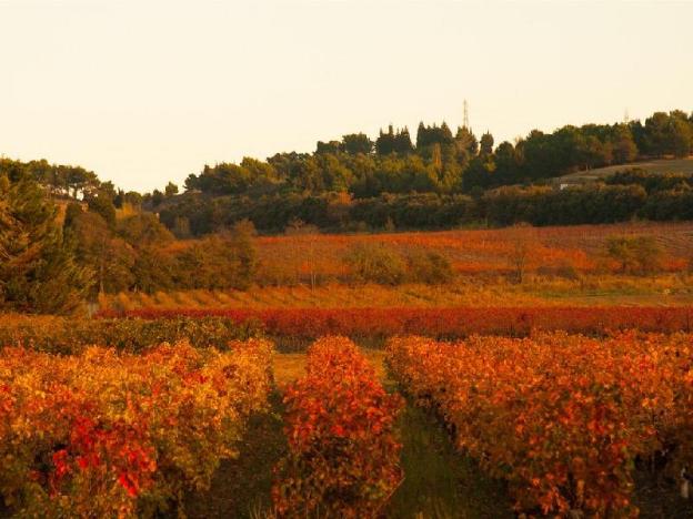 les balcons de maragon