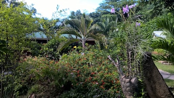 Cocotier Du Rocher,La Passe>>La Digue,4 star