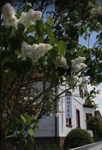 hauser der villa italia