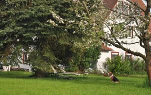 hauser der villa italia